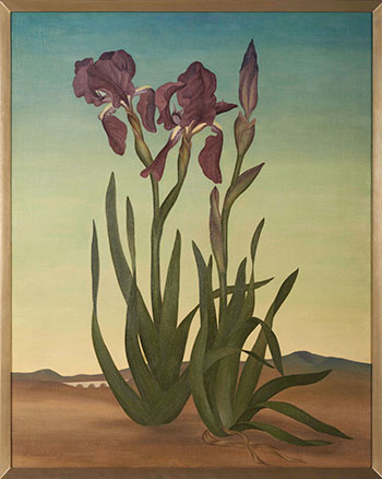 Helen Lundeberg (1908–1999) Irises (The Sentinels), 1936 Oil on canvas, 30 × 25 in. Helen Lundeberg (1908–1999) Irises (The Sentinels), 1936 Oil on canvas, 30 × 25 in.
