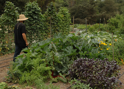 Walking through the Ranch Walking through the Ranch