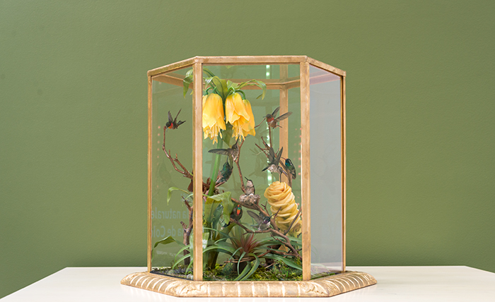 Taxidermist Allis Markham chose this lush, tropical flora based on an article that the novelist Charles Dickens wrote after seeing the original 1851 hummingbird cases. Photo by Kate Lain.