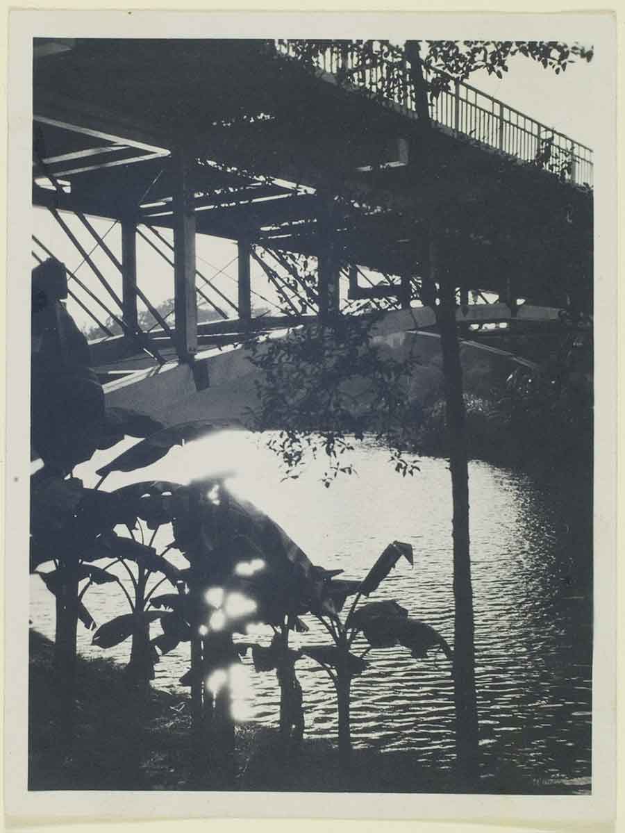 Shigemi Uyeda, untitled, 1920–29, gelatin silver contact print, 4.25 x 3.25 in. The Huntington Library, Art Museum, and Botanical Gardens. The persistence of a controlled glare in numerous photos by Uyeda suggests he intentionally cultivated the effect.